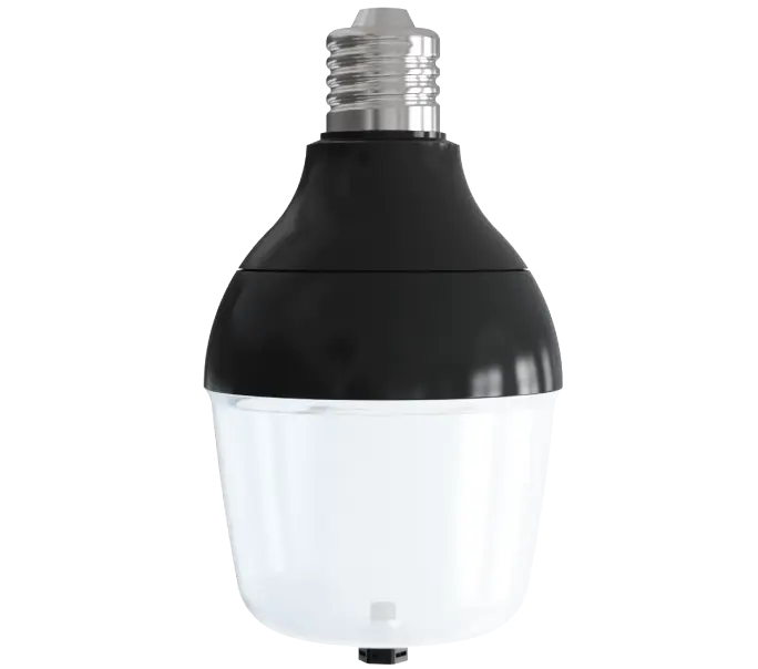 D80 LED Light Bulbs